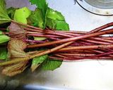 ツワの下処理作り方1写真