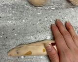 ふわふわハート白パン♡作り方12写真