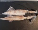 ワタがない！時の、イカワタ炒め…風♡作り方1写真
