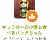 キャラ弁*笹の葉を食べるパンダちゃん作り方6写真