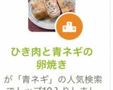 ひき肉と青ネギの卵焼き作り方7写真