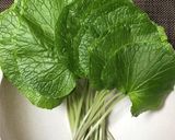 わさび葉漬け作り方1写真