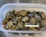 簡単！市販のキムチの素でスンドゥブチゲ作り方2写真