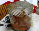 甘夏の発酵シロップ作り方77写真
