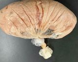 赤ビーツ入り防災用蒸しパン作り方4写真