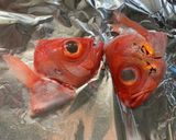 マイスター直伝！簡単キンメダイの煮付け作り方6写真