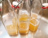 緑茶で超フルーティ発泡タイプのコンブチャ作り方7写真