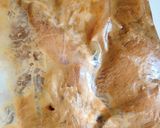鶏ムネ味噌ヨーグルト　チーズキノコソース作り方6写真