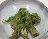 タラの芽の味噌漬け作り方7写真
