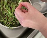ゆかりのイブクロ 蕗の下処理作り方4写真