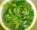 葉山椒のお塩作り方1写真