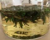 よもぎほうじ茶作り方7写真