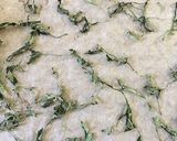 オーブンの余熱で乾燥させちゃお♫◯◯を作り方10写真