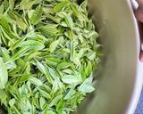新茶ホットプレートもみ作り方1写真