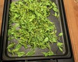 新茶ホットプレートもみ作り方3写真