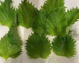 爽やか♪しそ香る塩麹の豆腐のカプレーゼ作り方2写真
