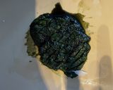 爽やか♪しそ香る塩麹の豆腐のカプレーゼ作り方6写真