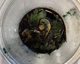 爽やか♪しそ香る塩麹の豆腐のカプレーゼ作り方3写真