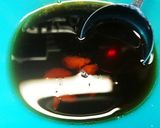お弁当★翌日も柔らかい手羽元煮★作り置き作り方3写真