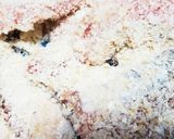 お年寄り絶賛シリーズ☆醤油麹☆鮭フライ☆作り方3写真