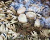 そら豆の煮まめ作り方1写真