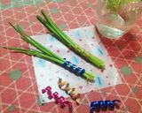 再生ねぎ❁⃘*｡束ねてトッピング°ஐ.*作り方9写真