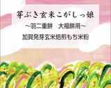 餅チーズ揚げ(おつまみに)作り方10写真
