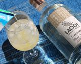 【無農薬ラム酒】瞬間・南国ピニャコラーダ作り方3写真