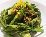 お年寄り絶賛シリーズ☆たらの芽ゴマ和え☆作り方6写真
