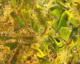 今が旬！ミネラル満点！メカブの酢の物作り方4写真