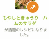 もやしときゅうり　ハムのサラダ作り方12写真