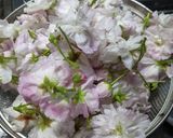手作りで春を楽しむ♡八重桜の塩漬け作り方4写真