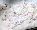 手作りで春を楽しむ♡八重桜の塩漬け作り方5写真
