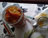 甘夏の発酵シロップ作り方92写真