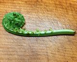 こごみの胡麻和え作り方1写真