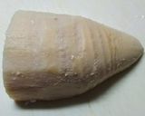 すぐ出来る‼ゆで筍のキムチ和え作り方1写真