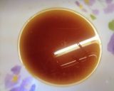 旬のしらすとしらたきのきんぴら作り方2写真