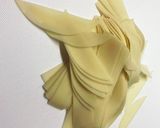 餃子の皮で作るおやつ作り方1写真