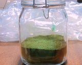 よもぎパウダーの作り方　茹でるタイプ作り方13写真