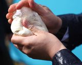 ホットサンドメーカー★簡単薄焼きピッツァ作り方2写真