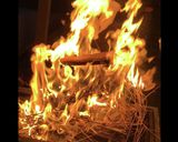 明神丸の塩たたきを自宅で作り方4写真