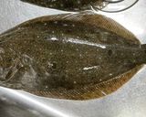 伊勢湾釣りひらめの藻塩と昆布締め作り方1写真