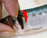 骨まで食べれる♪いわしの梅おかか煮☆作り方2写真
