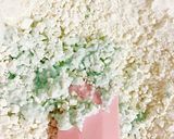 青いイチゴ大福〜バタフライピーティー〜作り方4写真