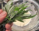 ☆春の野草よもぎの天ぷら作り方3写真