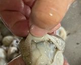 イイダコの煮物（下処理と捌き方、煮るまで作り方5写真