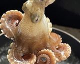 イイダコの煮物（下処理と捌き方、煮るまで作り方10写真