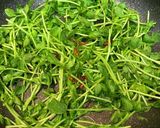 豆苗ペペロンチーノ作り方3写真