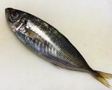 アジのなめろう茶漬けと味噌汁作り方1写真