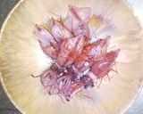 ホタルイカをごま油で作り方2写真
